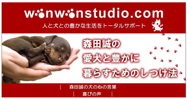 愛犬との絆を深めるための最適な選択「森田誠の愛犬と豊かに暮らすためのしつけ法」