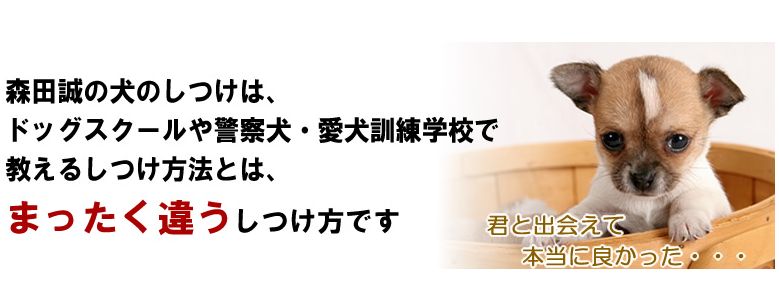 愛犬との絆を深めるための最適な選択「森田誠の愛犬と豊かに暮らすためのしつけ法」